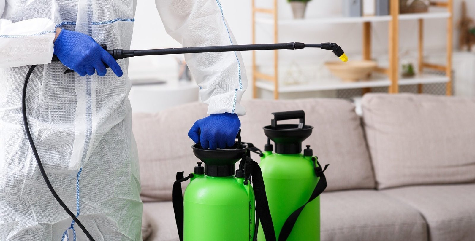 Serviço de dedetização